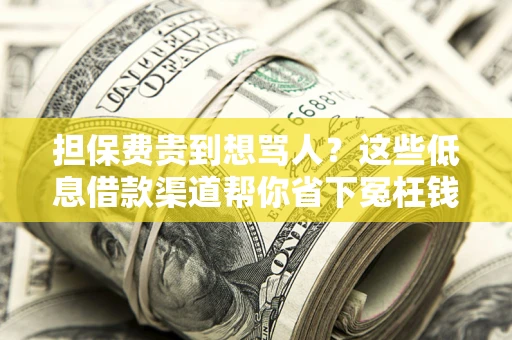北京担保费贵到想骂人？这些低息借款渠道帮你省下冤枉钱