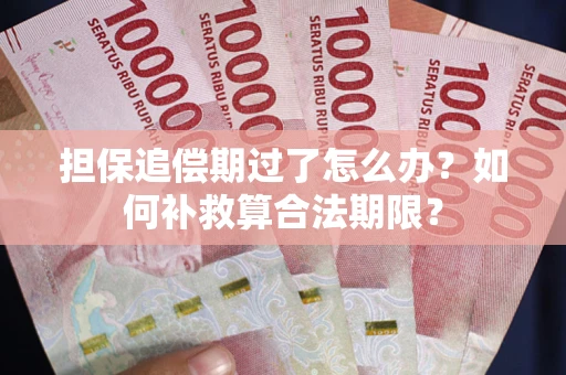 北京担保追偿期过了怎么办？如何补救算合法期限？