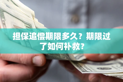 北京担保追偿期限多久？期限过了如何补救？