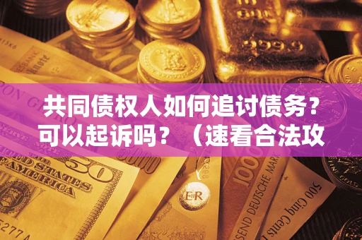 北京共同债权人如何追讨债务？可以起诉吗？（速看合法攻略）